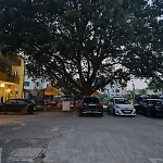 Bed & Breakfast Biergarten